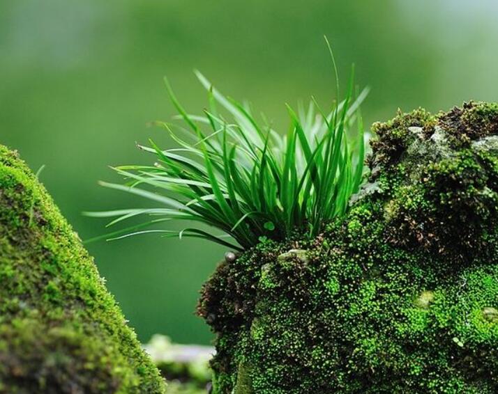 1640529226821717.jpg 1640529226821717.jpg