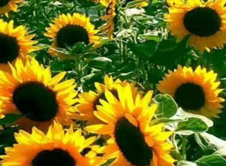 1640682244995390.jpg 1640682244995390.jpg