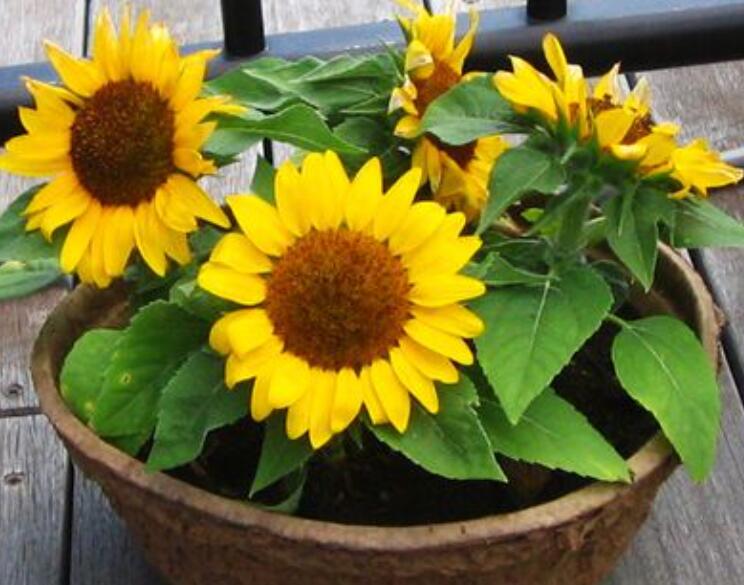 1640682253637254.jpg 1640682253637254.jpg