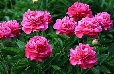 1641211861329413.jpg 1641211861329413.jpg