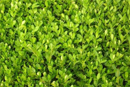 1641378836371834.jpg 1641378836371834.jpg