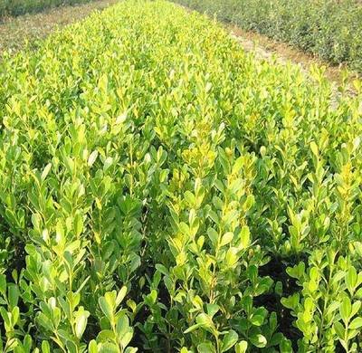 1641378855204579.jpg 1641378855204579.jpg