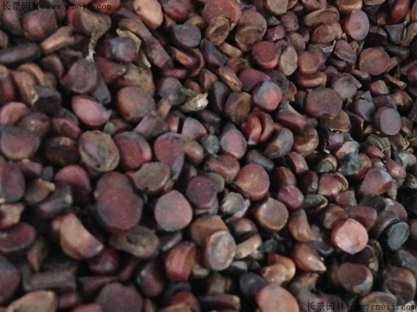 1641724277717269.jpg 8c2f64480a44110b4435463f99747242_1-1F50R12142K8.jpg