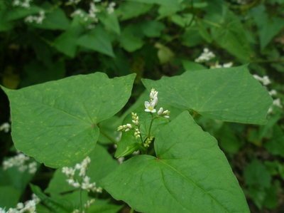 1641726782841024.jpg 1641726782841024.jpg