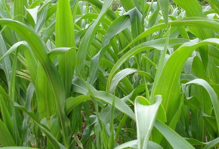 1641737125935632.jpg 1641737125935632.jpg