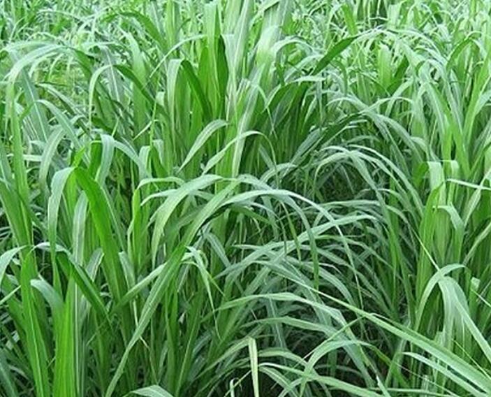 1641738026435483.jpg 1641738026435483.jpg