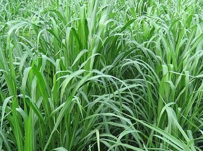 1641794723557669.jpg 1641794723557669.jpg