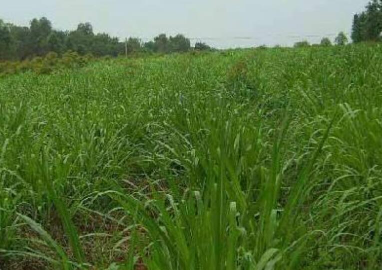 1641796989123650.jpg 1641796989123650.jpg