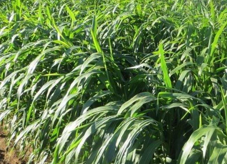 1641796998812607.jpg 1641796998812607.jpg