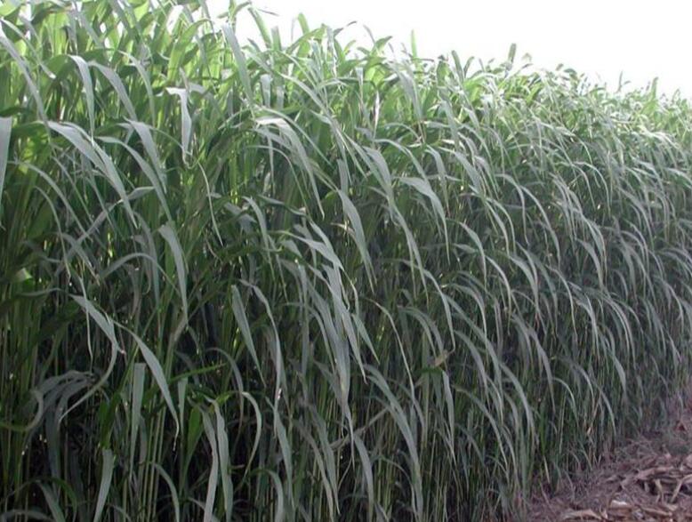 1641797444123852.jpg 1641797444123852.jpg