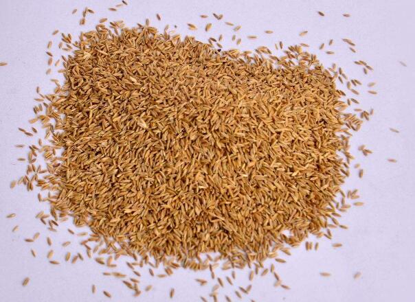 1641814092406259.jpg 1641814092406259.jpg