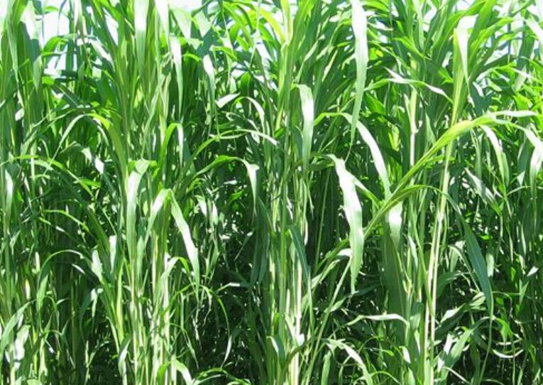 1641825691340832.jpg 1641825691340832.jpg