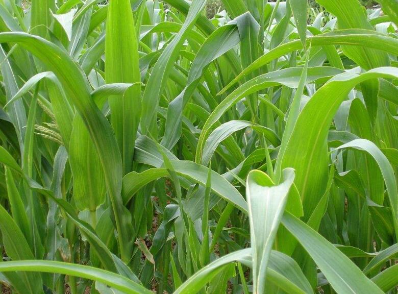 1641825708480537.jpg 1641825708480537.jpg