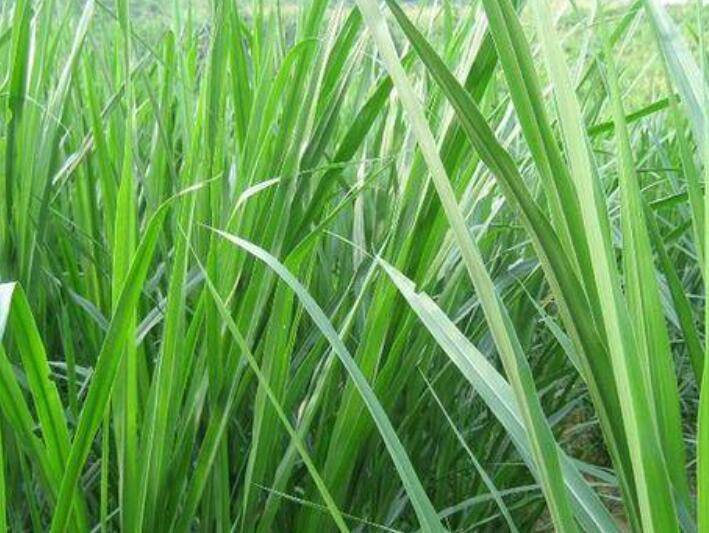 1641910261954579.jpg 1641910261954579.jpg