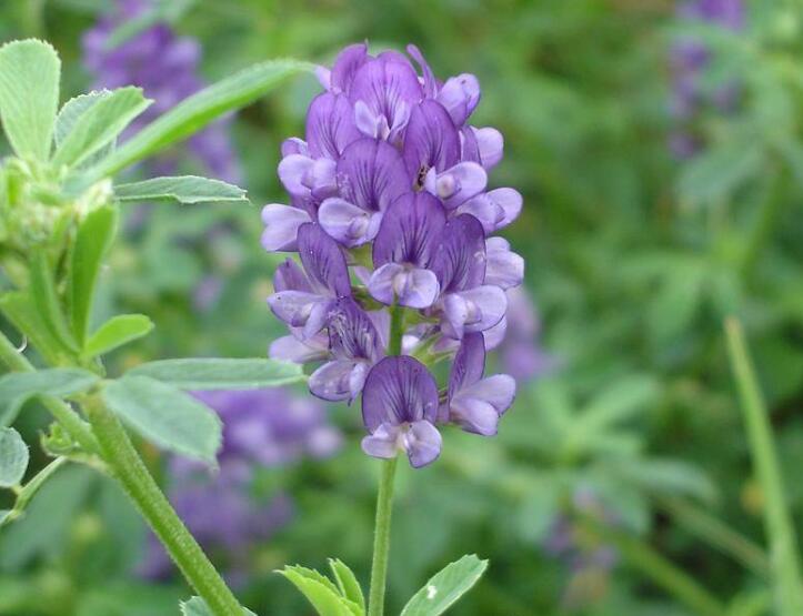 1641911306558965.jpg 1641911306558965.jpg