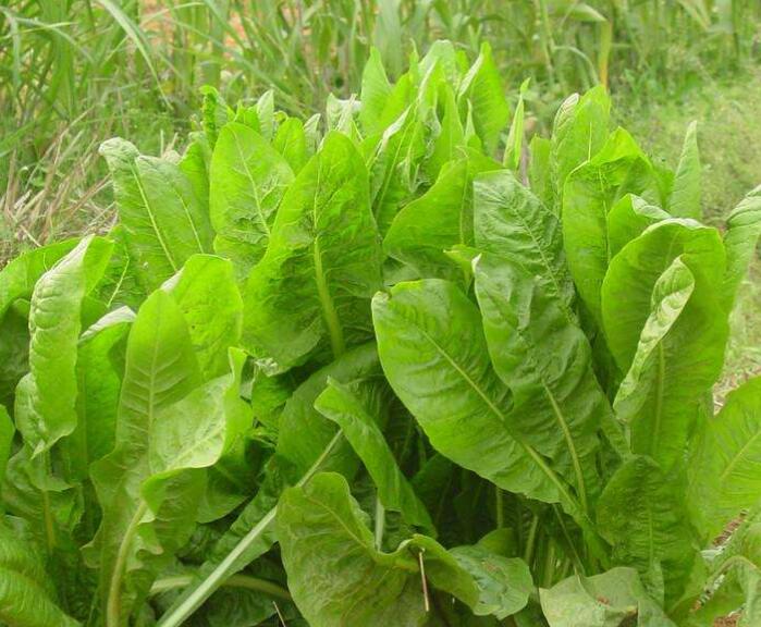 1641974148523166.jpg 1641974148523166.jpg