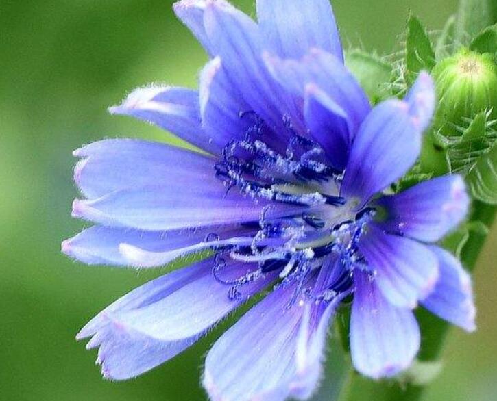 1641974156223848.jpg 1641974156223848.jpg