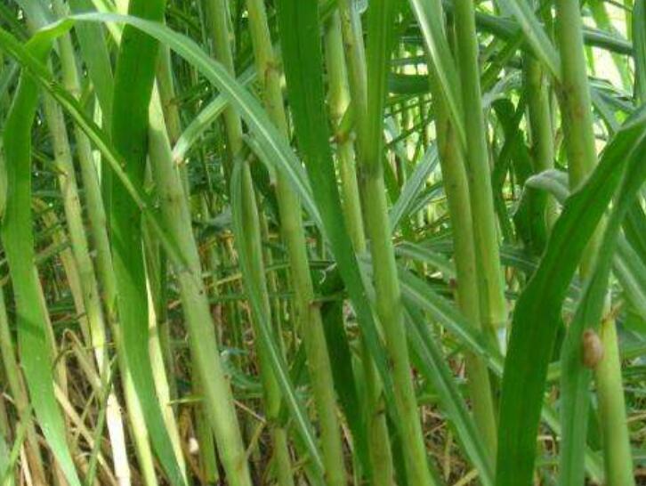 1641999434945754.jpg 1641999434945754.jpg