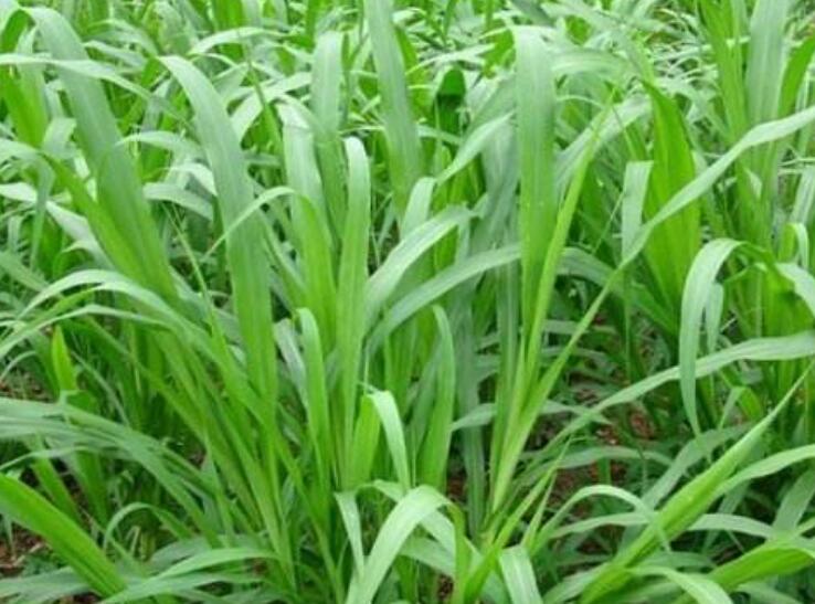 1641999446527783.jpg 1641999446527783.jpg