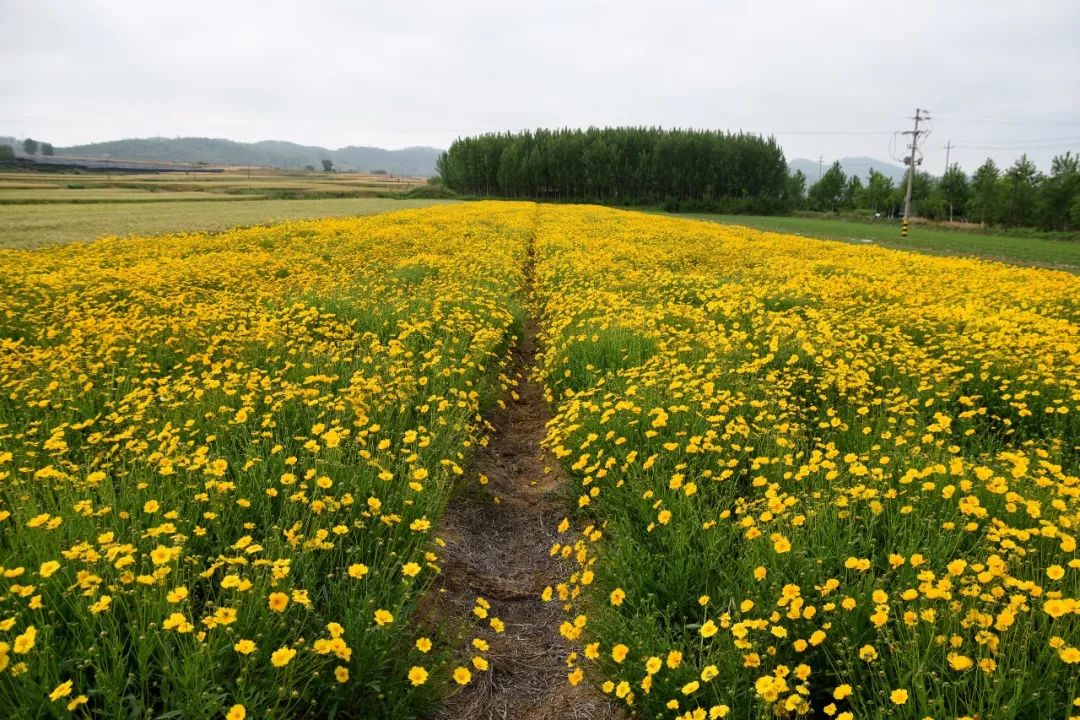 1642068871796474.jpeg 1642068871796474.jpeg