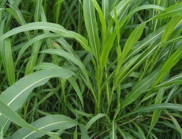 1642127797156501.jpg 1642127797156501.jpg