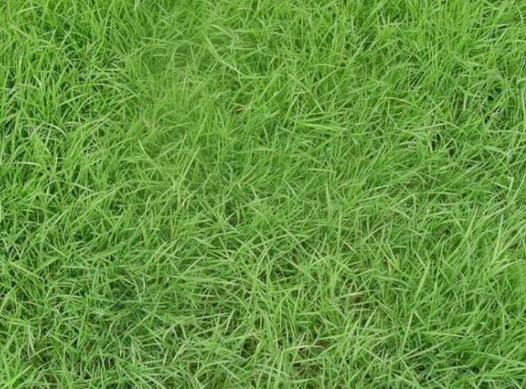 1642227586272417.jpg 1642227586272417.jpg