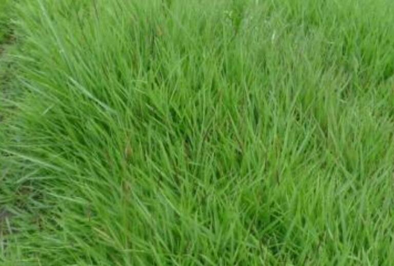 1642227595959420.jpg 1642227595959420.jpg