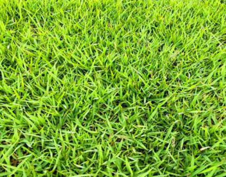 1642227602249664.jpg 1642227602249664.jpg