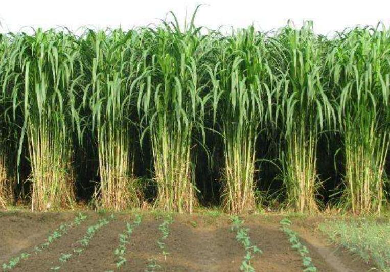 1642305251451303.jpg 1642305251451303.jpg