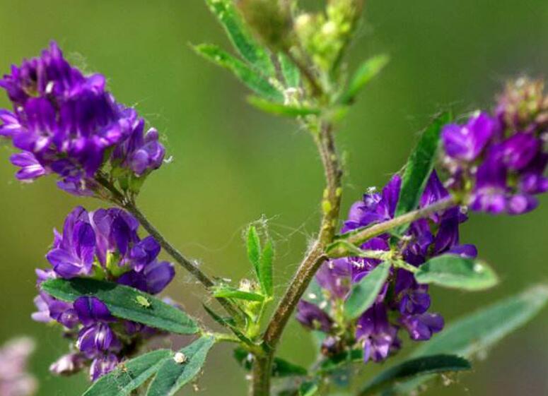 1642490648866610.jpg 1642490648866610.jpg