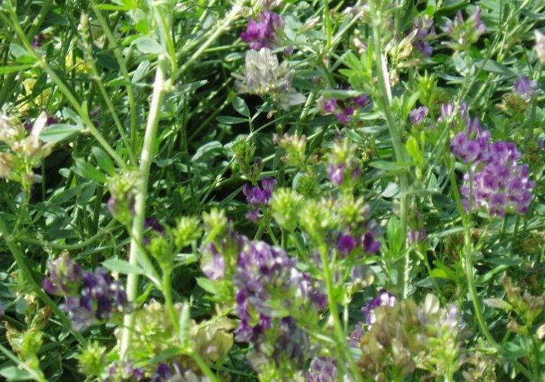 1642490669467850.jpg 1642490669467850.jpg