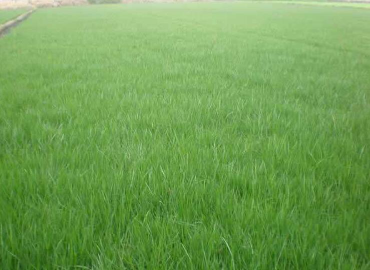 1642756845926529.jpg 1642756845926529.jpg