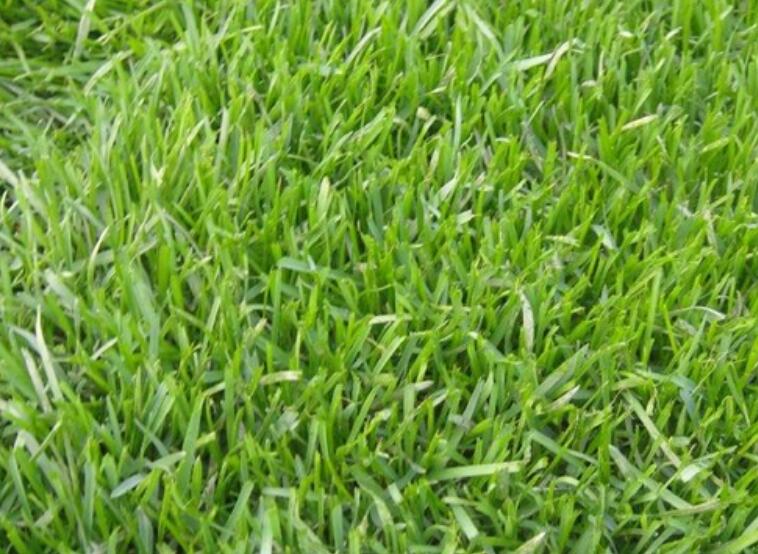 1642762137729741.jpg 1642762137729741.jpg