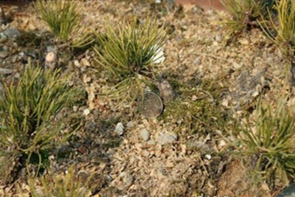 1643080922255828.jpg 1643080922255828.jpg