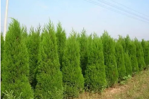 1643081071380790.jpg 1643081071380790.jpg