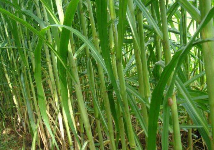 1643270888800203.jpg 1643270888800203.jpg