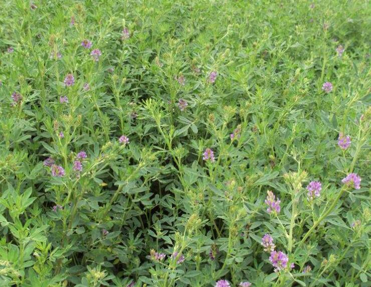 1643360902452836.jpg 1643360902452836.jpg