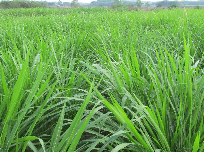 1643452380739076.jpg 1643452380739076.jpg