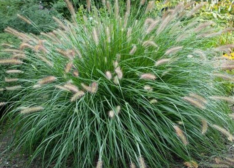 1643452449862253.jpg 1643452449862253.jpg