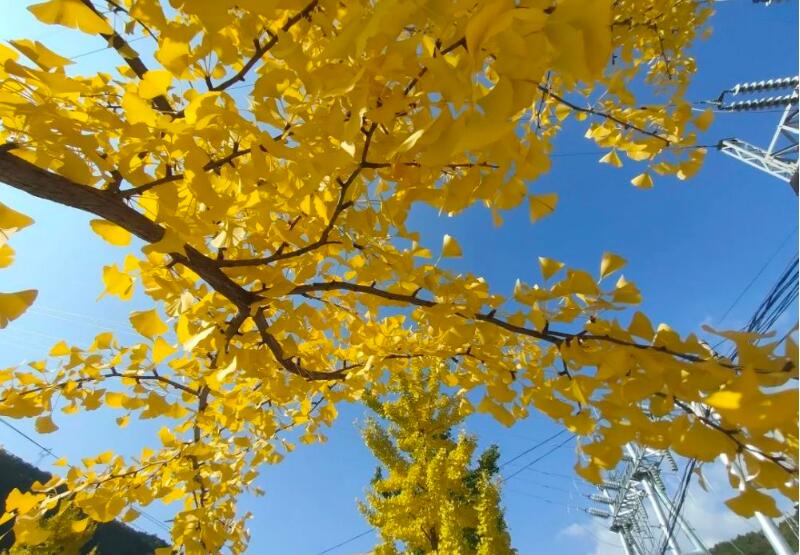 1643978679886647.jpg 1643978679886647.jpg