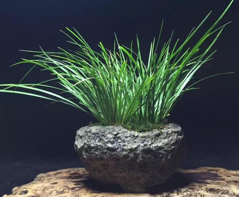 1644120097213470.jpg 1644120097213470.jpg