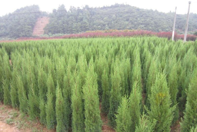 1644120583186368.jpg 1644120583186368.jpg