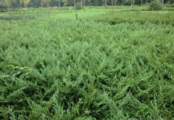 1644120833649382.jpg 1644120833649382.jpg