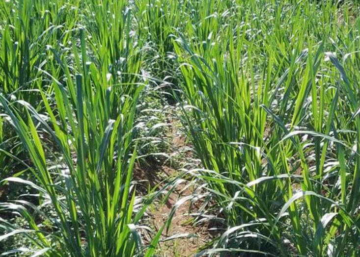 1644575651688478.jpg 1644575651688478.jpg