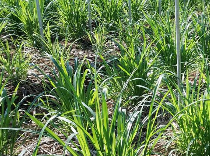 1644582486897166.jpg 1.jpg