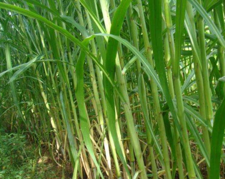 1644583211302262.jpg 2.jpg