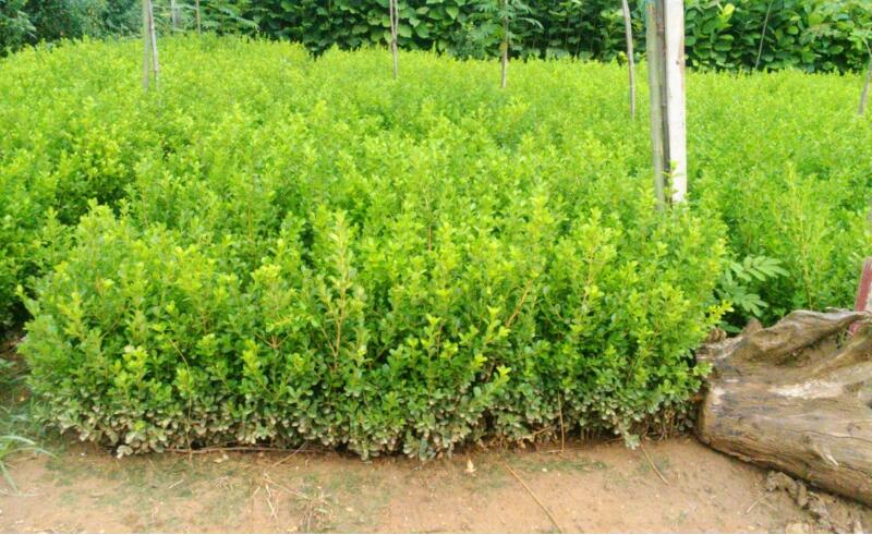 1644898825370130.jpg 1644898825370130.jpg