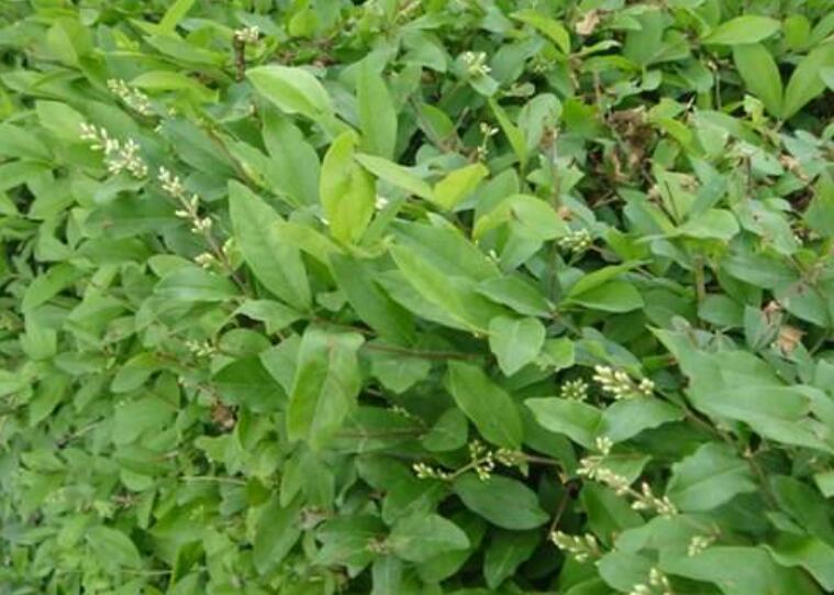 1644935091151183.jpg 2.jpg