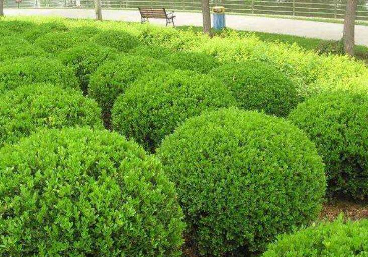 1644935103611391.jpg 3.jpg