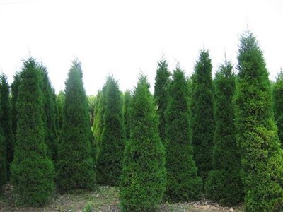 1645004823288122.jpg 1645004823288122.jpg